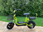 Электровелосипед Elbike Dacha Mini 20 - Фото 20