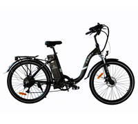 Elbike Galant Big VIP 13 (Черный)