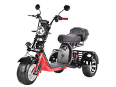 Электротрицикл White Siberia PRO TRIKE 3000W - Фото 1