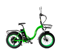 Elbike Taiga 1 Vip 13 (Зеленый)