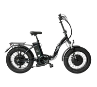 Elbike TAIGA 1 Twix (Черный)