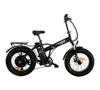 Elbike Taiga 2 Vip 13 (Черный)