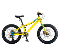 Inobike Traveler Kid 20"