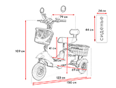 Электротрицикл TRION Partner NOVA PRO - Фото 26